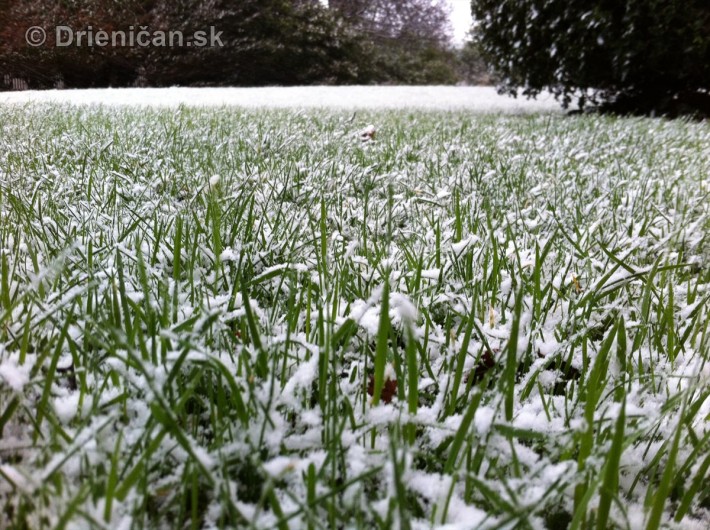 dublin snow_4
