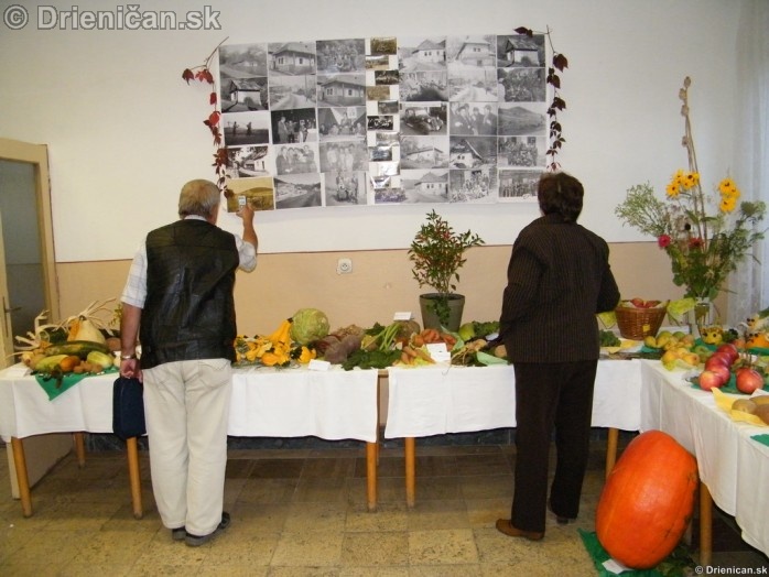 Záhradkárska výstava Drienica