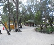 Maurícius