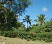 Mauritius