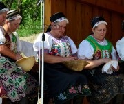 Drienica 680. výročie prvej písomnej zmienky