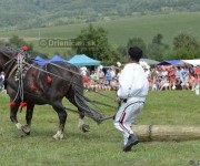 Furmanské preteky o „Zlatý Kantár“ Ľutina 2012