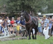 Furmanské preteky o „Zlatý Kantár“ Ľutina 2012