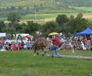 Furmanské preteky o „Zlatý Kantár“ Ľutina 2012