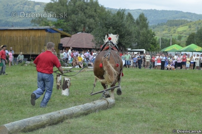 Furmanské preteky o „Zlatý Kantár“ Ľutina 2012