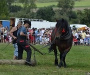 Furmanské preteky o „Zlatý Kantár“ Ľutina 2012