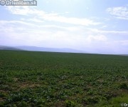 Jarovnice-Hermanovce