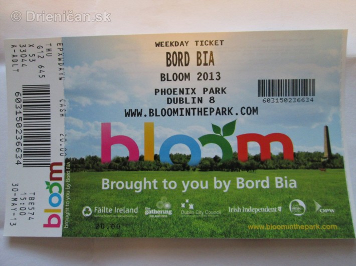 Bloom Ireland Festival Dublin_103