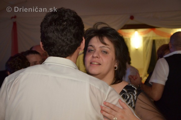 12 ples obce Drienica foto_04