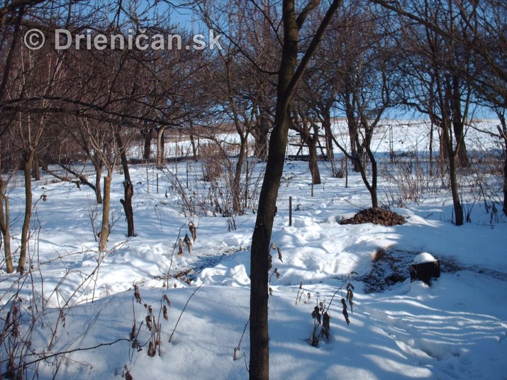 Drienica sneh foto panoramy_12