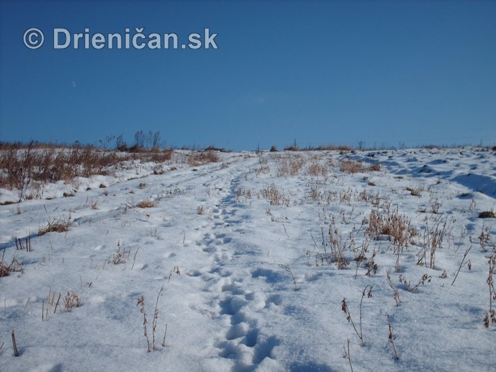 Drienica sneh foto panoramy_16