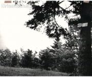 Tabuľa na strome, pridal p.Tomko