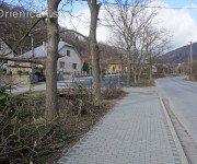 Jarná úprava stromov pri hlavnej ceste