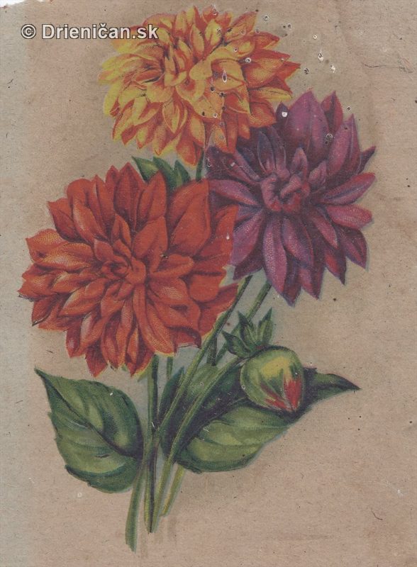 Pohľadnica-kvety