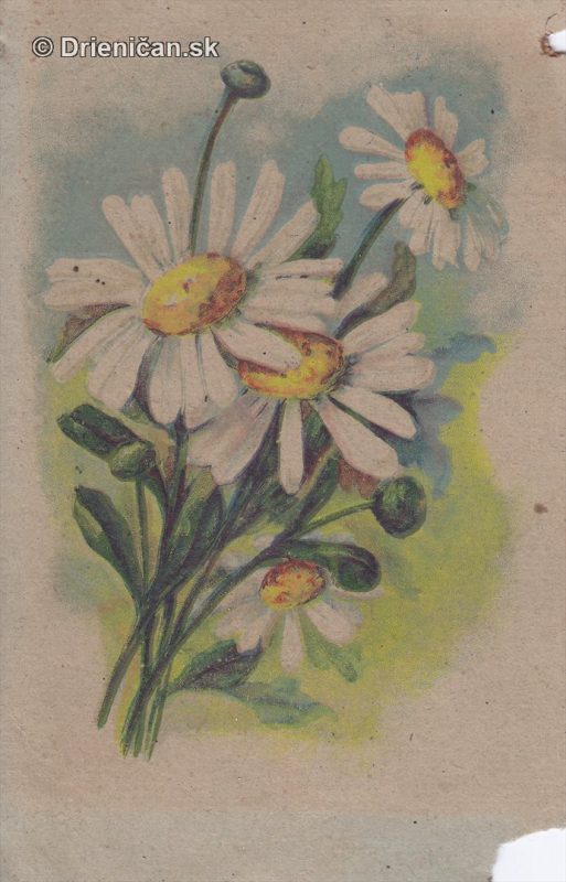 Pohľadnica kvety 13.7.