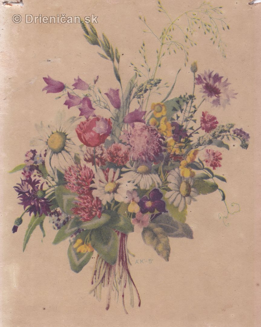 Pohľadnica kvety, 2.9.1957