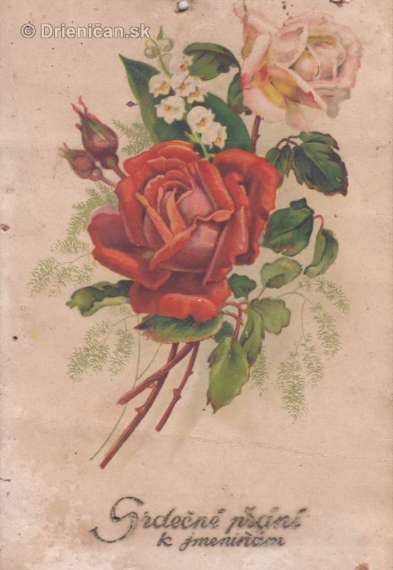 Srdečné přání k jmeninám, ruže