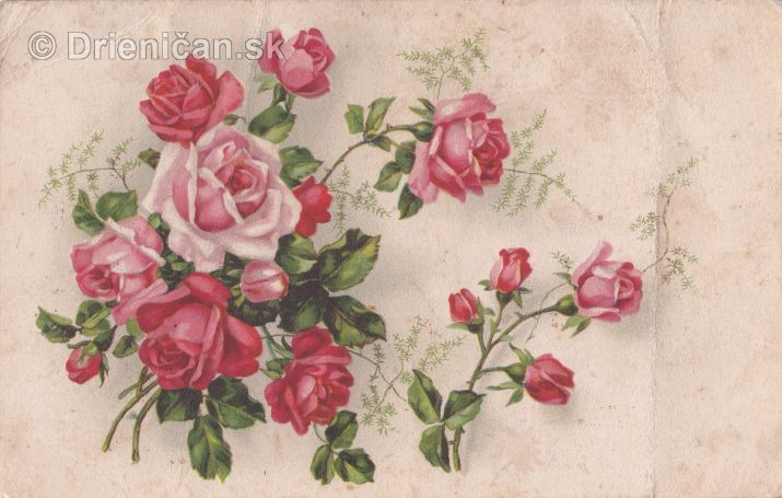 Stará pohľadnica, kvety rúže